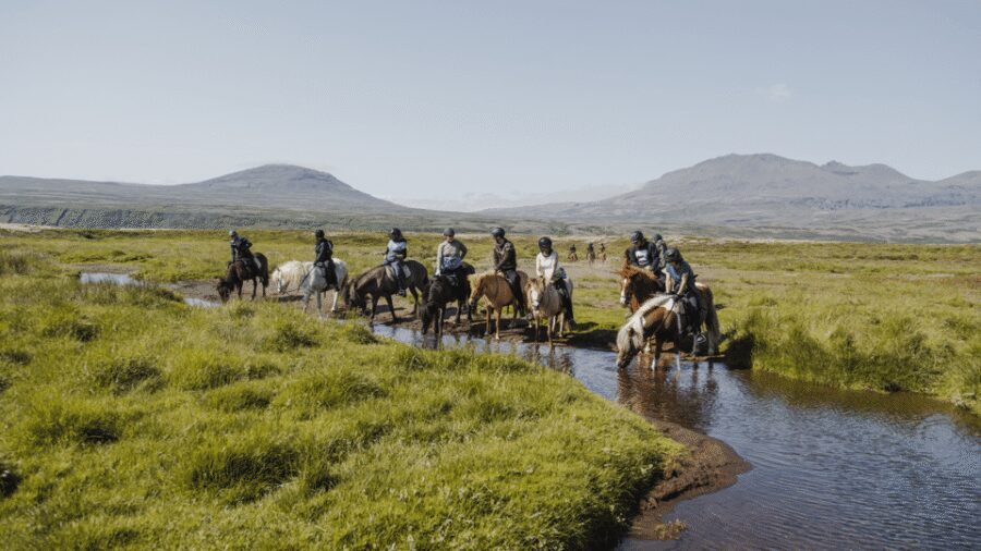 Borgarnes: Horseback Riding Tour with Prep Lesson - The Trail Ride Itself: 1.5 Hours of Guided Icelandic Country Air