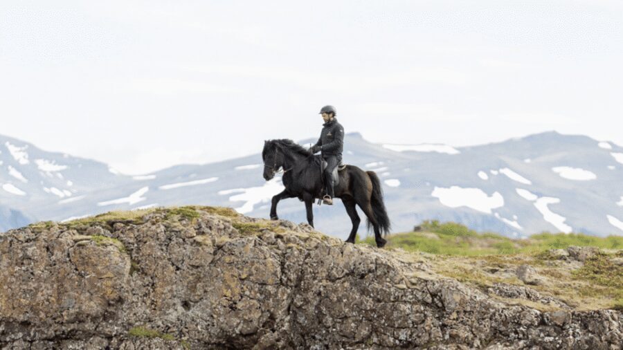 Borgarnes: Horseback Riding Tour with Prep Lesson - Gaits and Confidence: What to Expect About Tölt and Pace