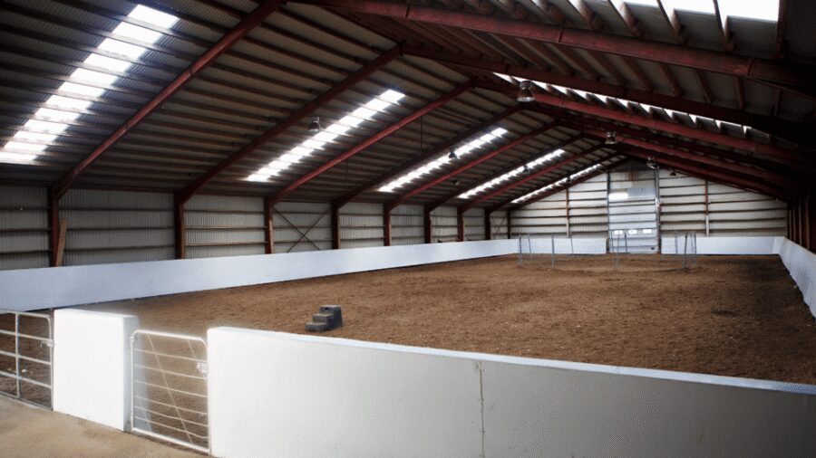Borgarnes: Horseback Riding Tour with Prep Lesson - Safety and Fit: Weight Limits and Age Rules