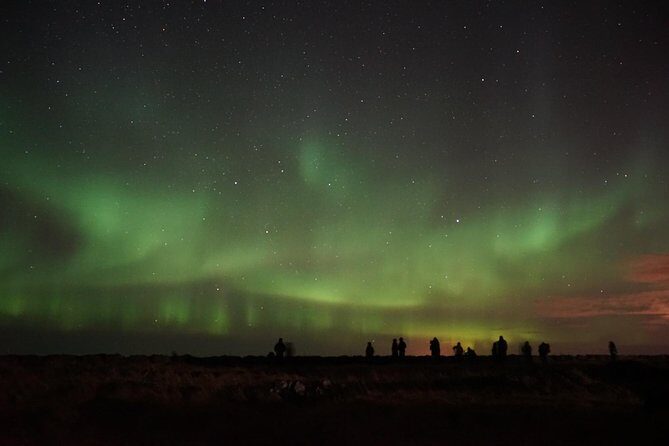 Chasing Aurora Borealis with Warmth and Treats in Premium Tour! - The night hunt: how guides search, scan, and reposition