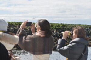 Classic Puffin Watching Cruise from Downtown Reykjavík - Old Harbour check-in and the boat ride setup