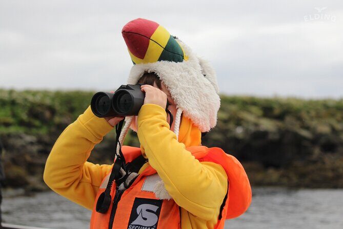 Classic Puffin Watching Cruise from Downtown Reykjavík - Weather, seasickness, and photo tips that actually help