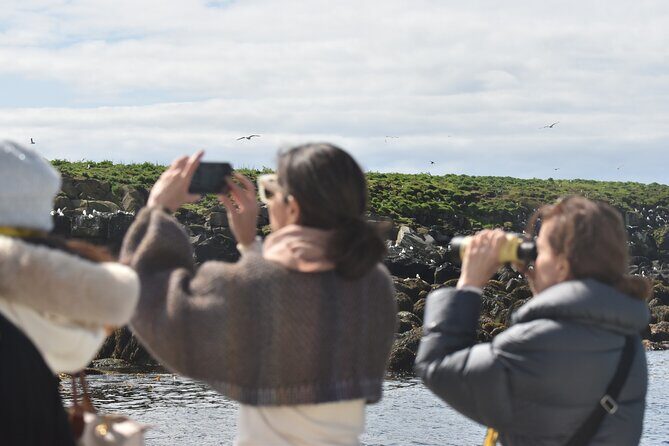 Classic Puffin Watching Cruise from Downtown Reykjavík - Old Harbour check-in and the boat ride setup