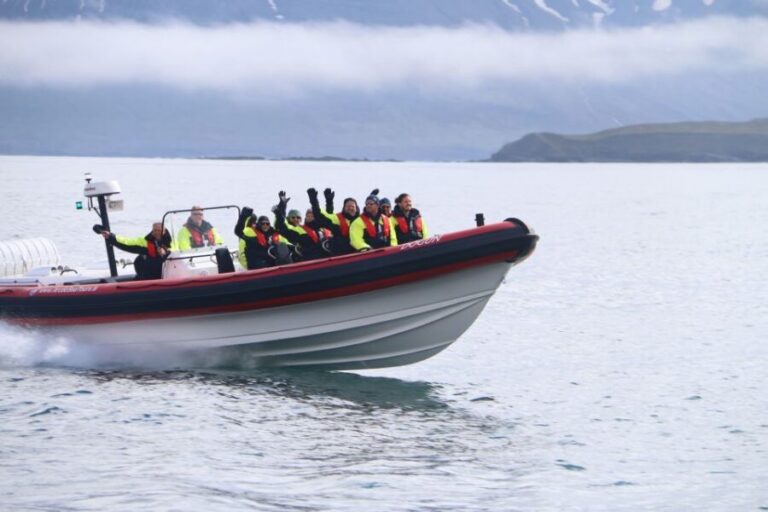 Dalvík: Whale Watching Speedboat Tour