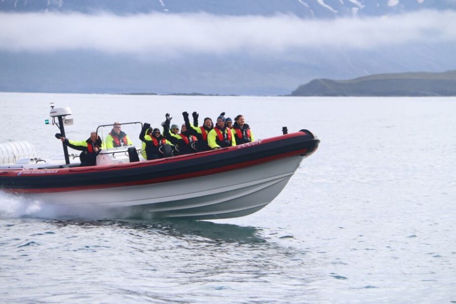 Dalvík: Whale Watching Speedboat Tour - Meeting at Hafnarbraut 22: what the first minutes are for