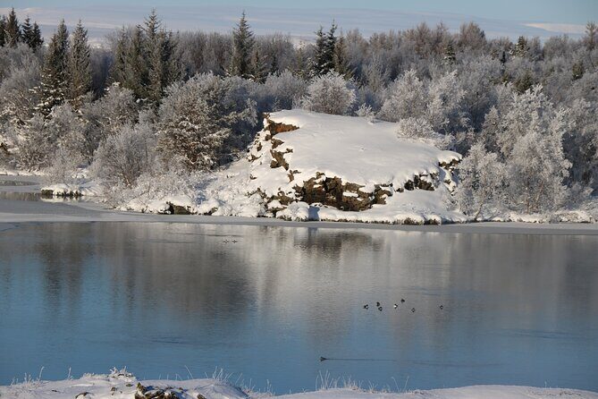 Day Trip to Lake Mývatn And The Nature Baths from Akureyri - Dimmuborgir Lava Formations: Dark Castle, Strange Shapes