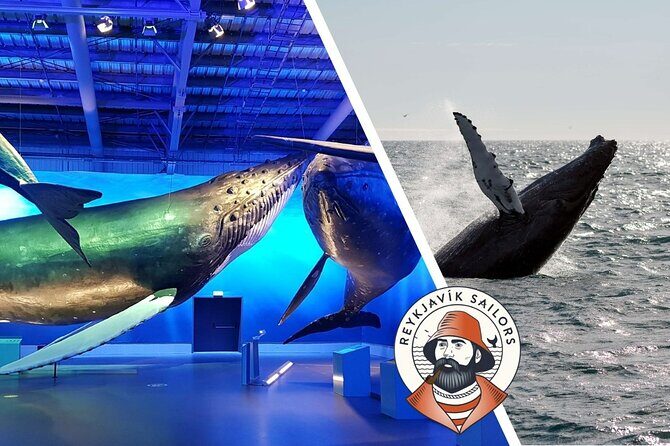 Deluxe Whale Watching and Whales of Iceland Exhibition Combo from Reykjavik - Whales of Iceland exhibition: why it is more than a break on a rainy day