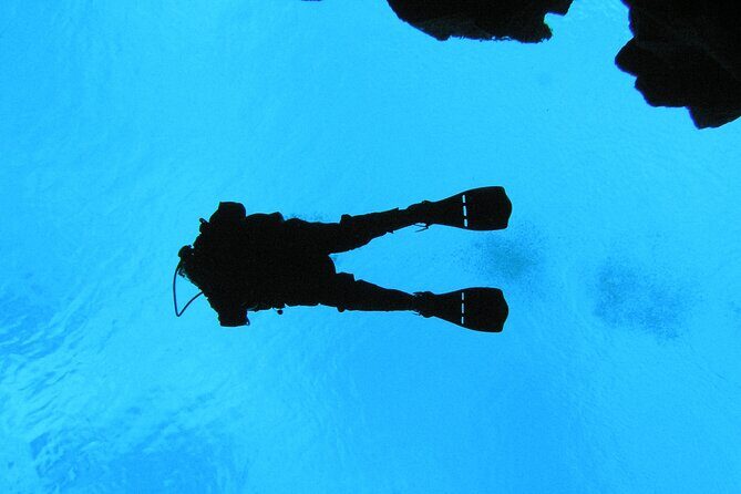 Dive the Divide: Silfra Fissure Scuba Tour | Meet at Thingvellir - Silfra’s Underwater Wonderland: What Makes This Route Special