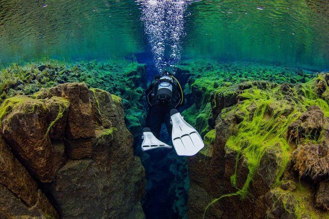 Dive the Divide: Silfra Fissure Scuba Tour | Reykjavik Pickup - Reykjavik pickup gets you to Þingvellir without the stress