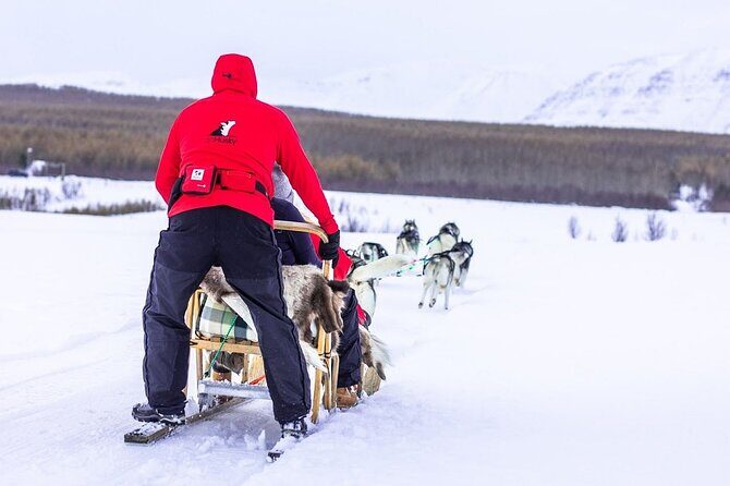 Dog Sledding Tour near Akureyri - The Sled Ride: Scenic Woods, Mountain Views, and a Smooth Pace