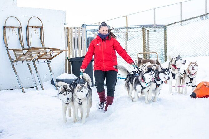 Dog Sledding Tour near Akureyri - Getting There: Glæsibær Meeting Point and Pickup Timing