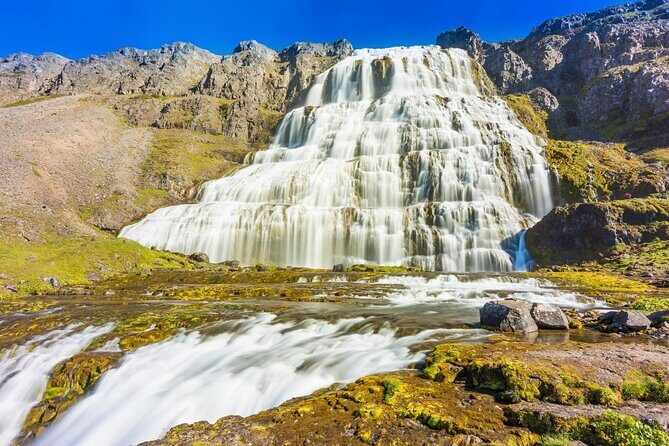 Dynjandi Waterfall & Iceland Farm Visit Tour - Price and value: what $149 actually buys on this route