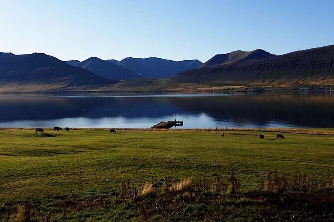 Dynjandi Waterfall & Iceland Farm Visit Tour - Practical tips so your day goes smoothly