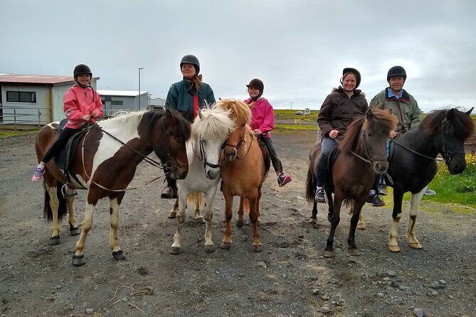 Experience Countryside of Iceland by Horseback Riding - Small-group riding: why max 12 matters