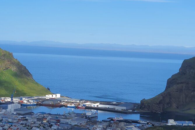 Eyjascooter Puffin Tour in Iceland - The core experience: puffin viewing with photo stops