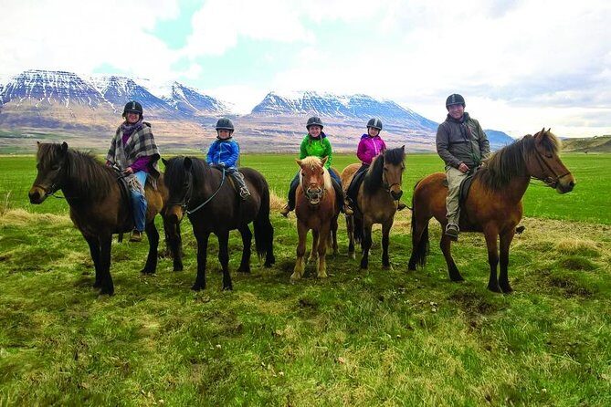 Family Friendly Horse Riding Tour in Skagafjörður - Key Things I’d Watch For Before You Go
