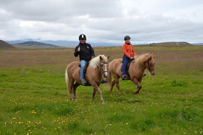 Family Friendly Horse Riding Tour in Skagafjörður - Skagafjörður on Horseback: What Makes This One Hour Work