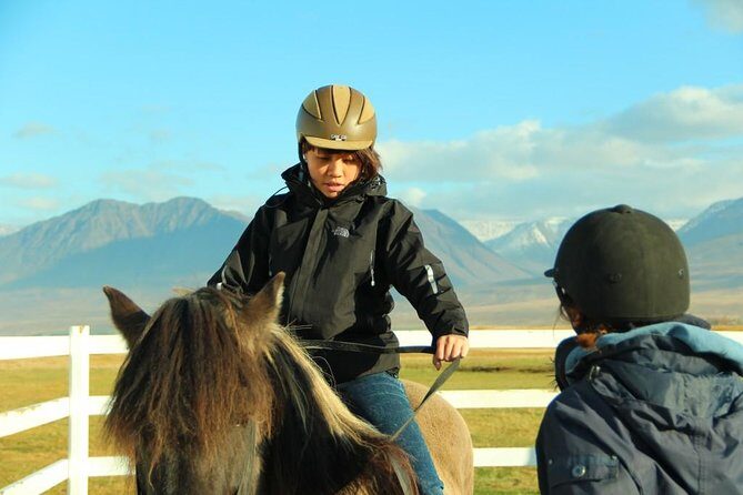 Family Friendly Horse Riding Tour in Skagafjörður - Small-Group Riding: What “Up to 8” Changes for Families