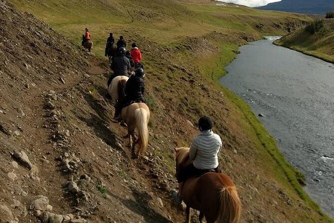 Family Friendly Horse Riding Tour in Skagafjörður - Horses and Safety: How to Think About Comfort on This Ride