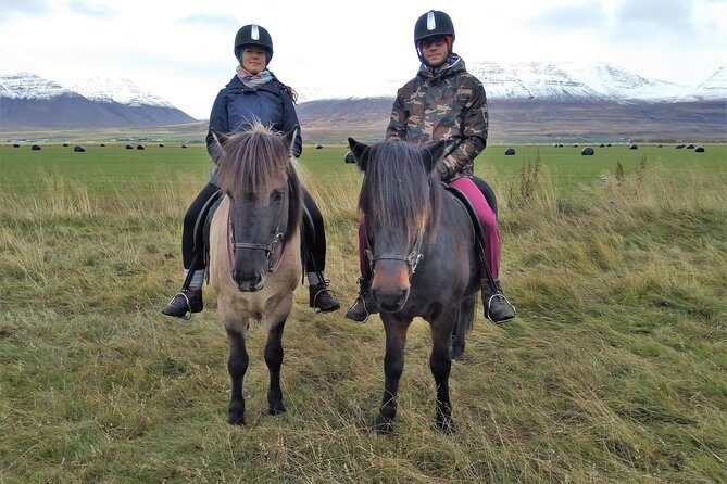 Family Friendly Horse Riding Tour in Skagafjörður - What’s Included: Gear Rental and a Hot Drink That Actually Helps