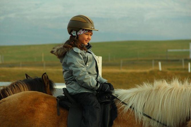 Family Friendly Horse Riding Tour in Skagafjörður - Price and Value: Is $90.05 Fair for an Iceland Horse Tour?