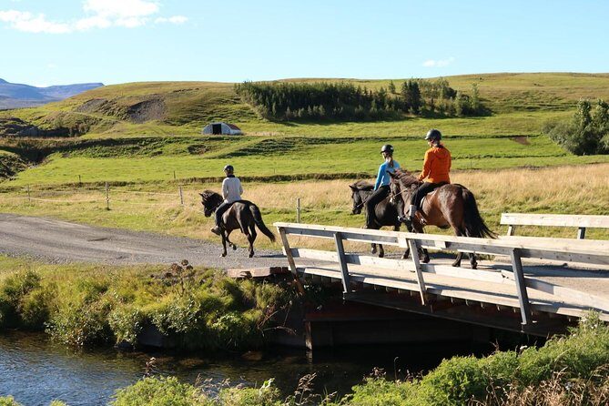 Family Friendly Horse Riding Tour in Skagafjörður - Weather and Clothing: The Reality of Riding at 4:00 pm
