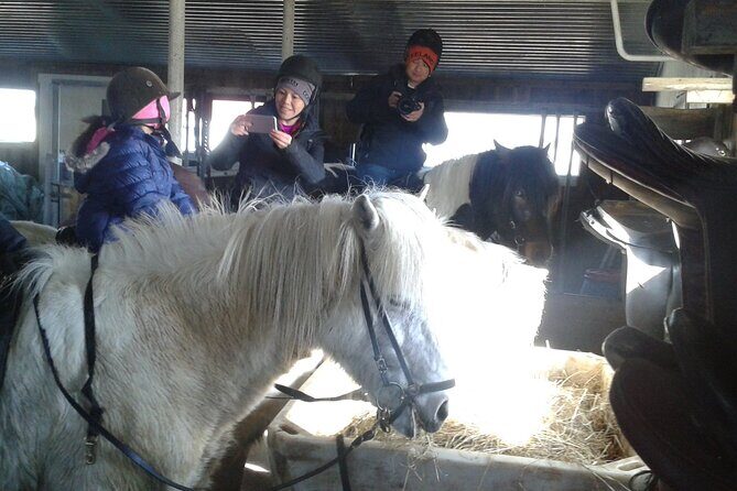Family Horse Riding Tour in Thorlakshofn - Quick take: what matters most
