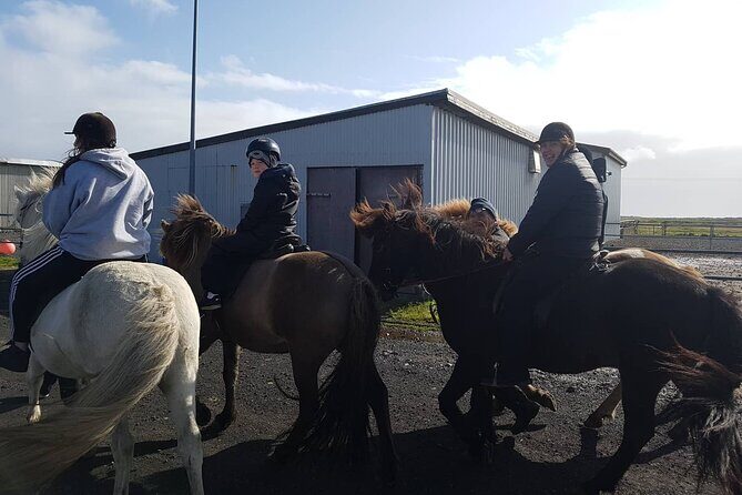 Family Horse Riding Tour in Thorlakshofn - The ride length and timing: what to plan for