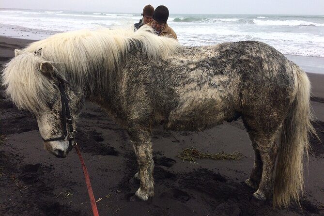 Family Horse Riding Tour in Thorlakshofn - How to dress for a horse ride in Iceland (for real)