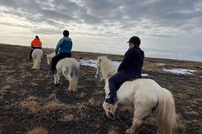 Family Horse Riding Tour in Thorlakshofn - Booking and cancellation: keep it easy, keep your flexibility