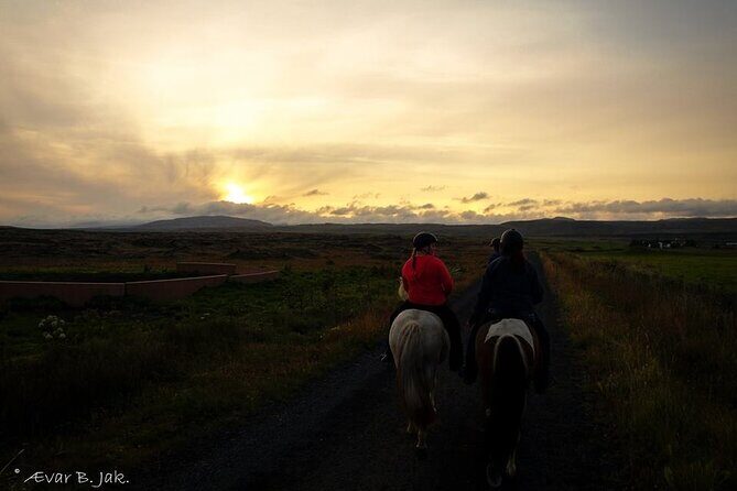 Family Horse Riding Tour in Thorlakshofn