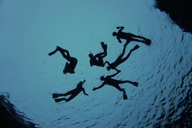 Freedive Silfra Half Day Tour - The Water Time at Silfra: What to Expect With a Guide On Hand