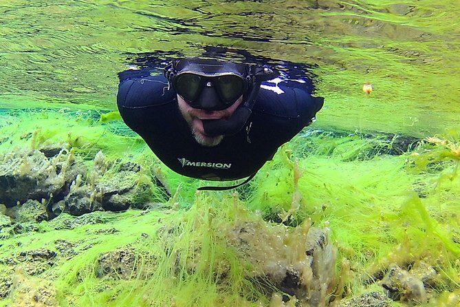 Freedive Silfra Half Day Tour - Price and Value: Is $233.50 Worth It?