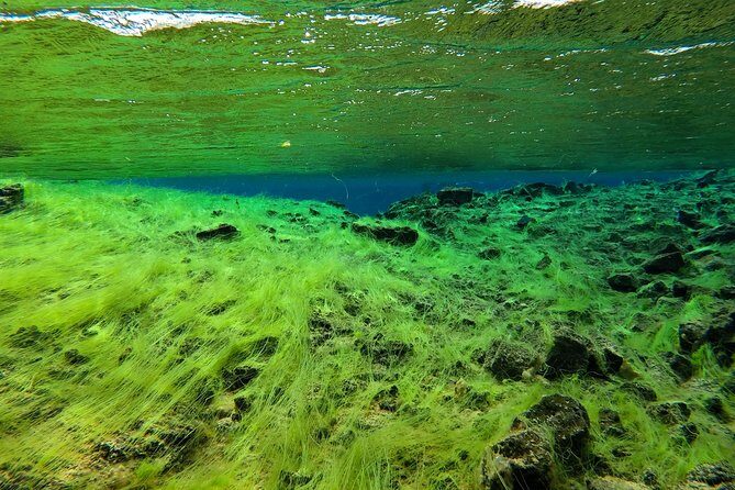 Freedive Silfra Half Day Tour