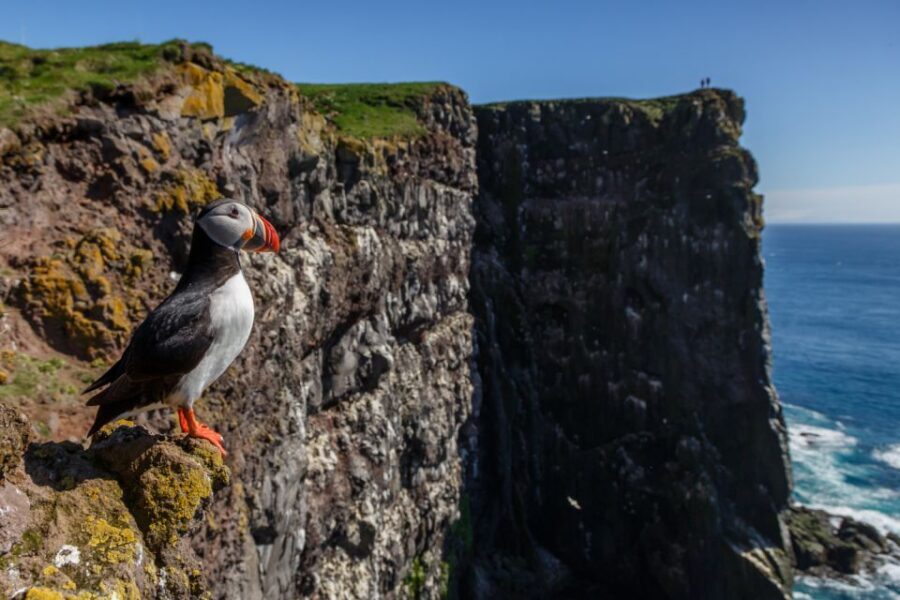 From Reykjavík: 3-Day Tour of the Wild Westfjords - Key reasons this Westfjords road trip is hard to top