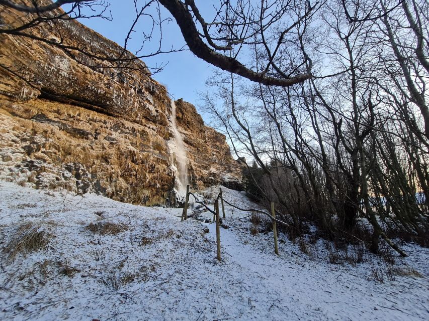 From Reykjavik: Explore the Waterfalls of the South Coast - Thorsteins Grove: starting with a quieter waterfall-world vibe