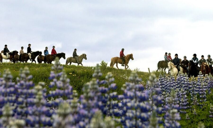 From Reykjavík: Full-day Golden Circle & Horse Riding Tour - Timing, breaks, and staying comfortable on an 11-hour day