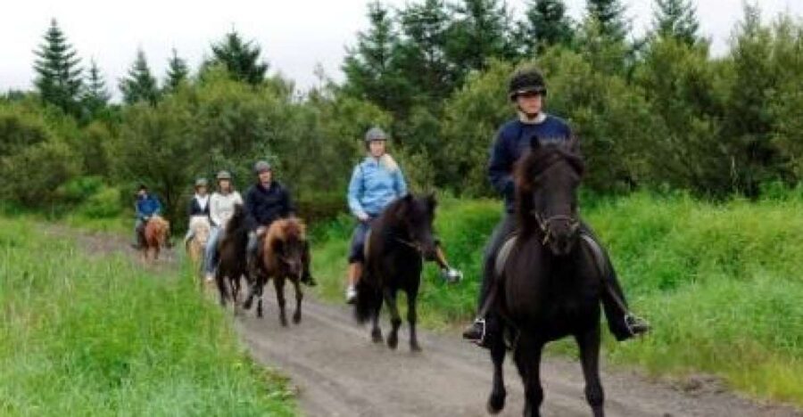 From Reykjavik: Full-Day Horse Riding & Golden Circle Tour - Þingvellir National Park: walking between continents in a short window
