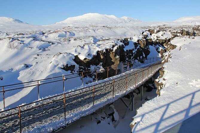 From Reykjavik: Full Day Private Golden Circle Tour in Iceland - Geysir: Hot Steam, Real Timing, and Big Energy