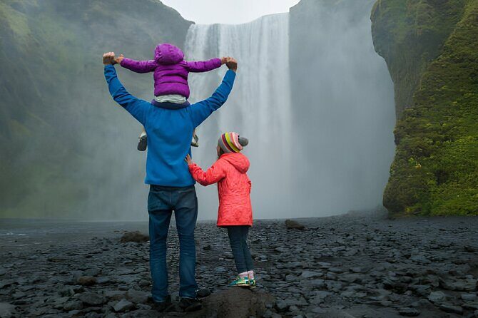From Reykjavik: Full Day Private South Coast Tour in Iceland - Reynisfjara Black Sand Beach: Basalt Columns and Wild Waves