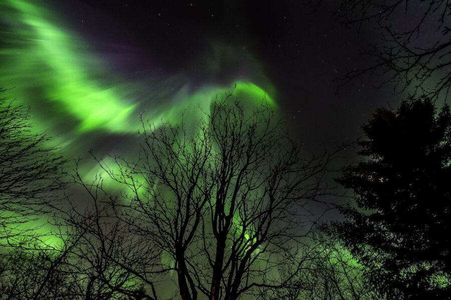 From Reykjavik: Golden Circle and Northern Lights Tour - Northern Lights Hunt: Timing, Guide Tactics, and What to Expect