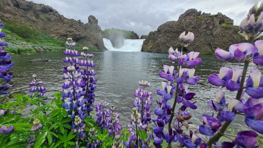 From Reykjavik: Highlands Jeep Tour & Landmannalaugar Hike - Háifoss, Granni, and the canyon view that rewards patience