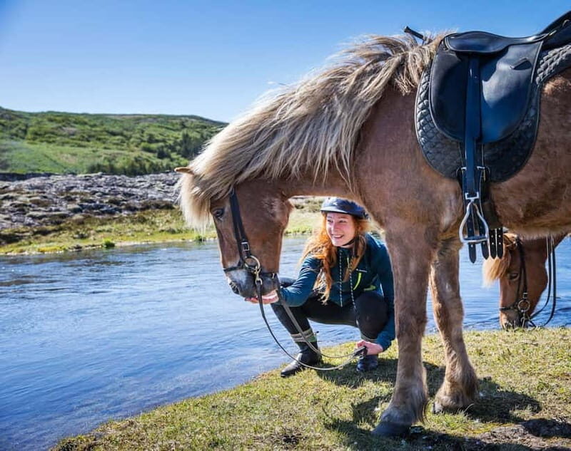 From Reykjavík: Icelandic Horse Riding Tour in Lava Fields - Key things to know before you go