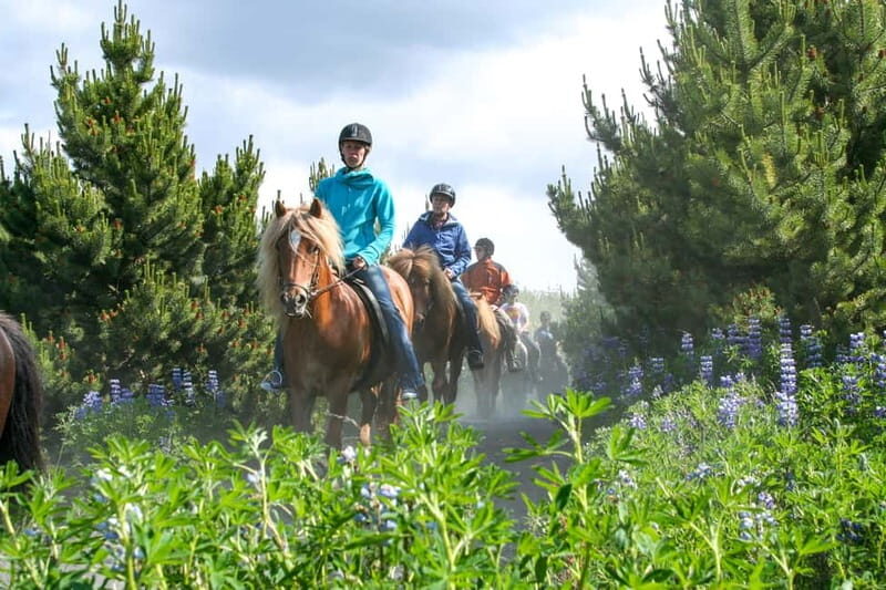 From Reykjavík: Icelandic Horse Riding Tour in Lava Fields - Íshestar Stables: the gateway to Reykjavík’s lava trails