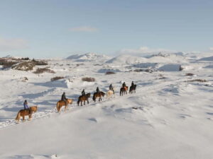 From Reykjavík: Icelandic Horse Riding Tour in Lava Fields - Riding through lava fields: what you’re actually doing out there