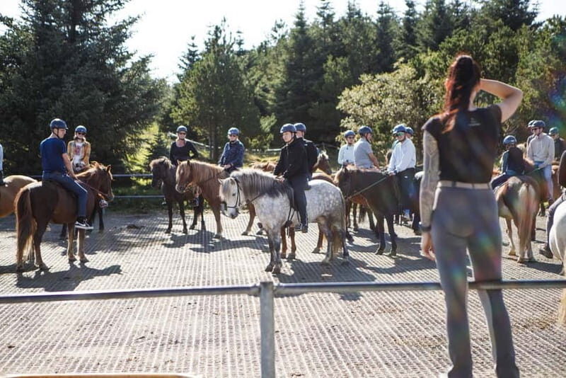 From Reykjavík: Icelandic Horse Riding Tour in Lava Fields - What you get for the $141 price (and why it’s fair)