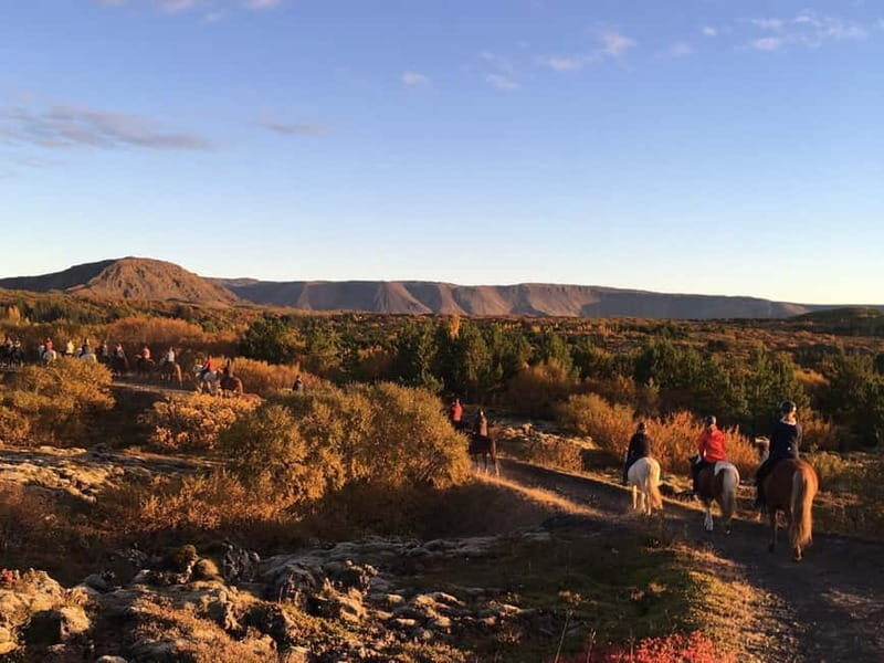 From Reykjavík: Icelandic Horse Riding Tour in Lava Fields - Safety, comfort, and the Iceland weather reality check