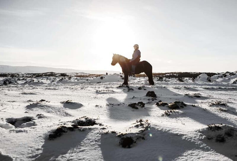 From Reykjavík: Icelandic Horse Riding Tour in Lava Fields - Group riding: beginners are welcome, but expectations should be realistic