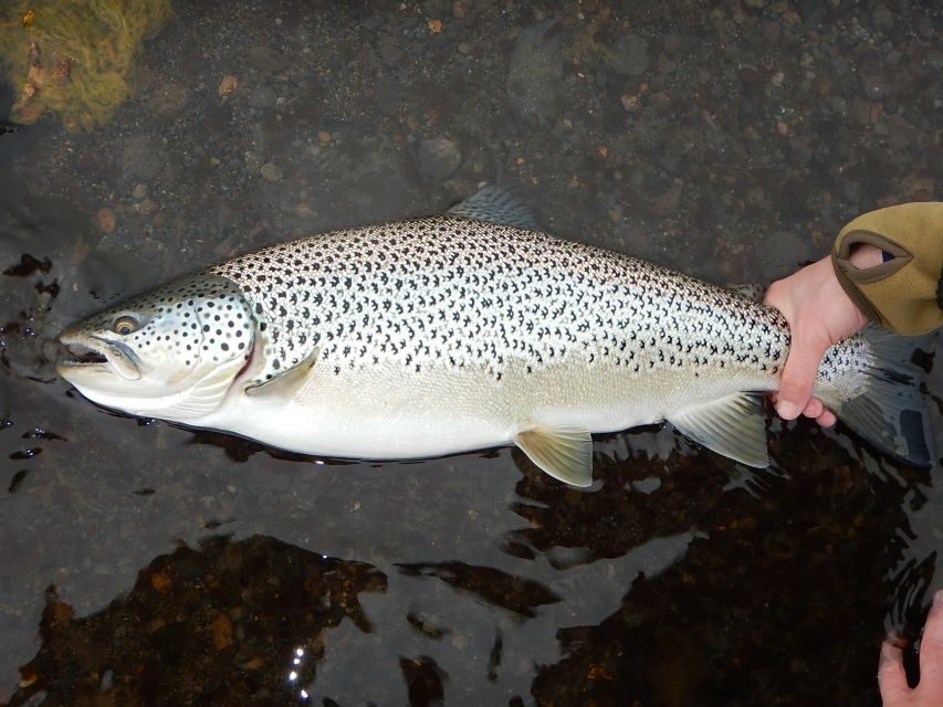 From Reykjavik: Lake and River Fishing Tour - The Guides Make It: Reynir, Kristinn, Gummi, and Freddy