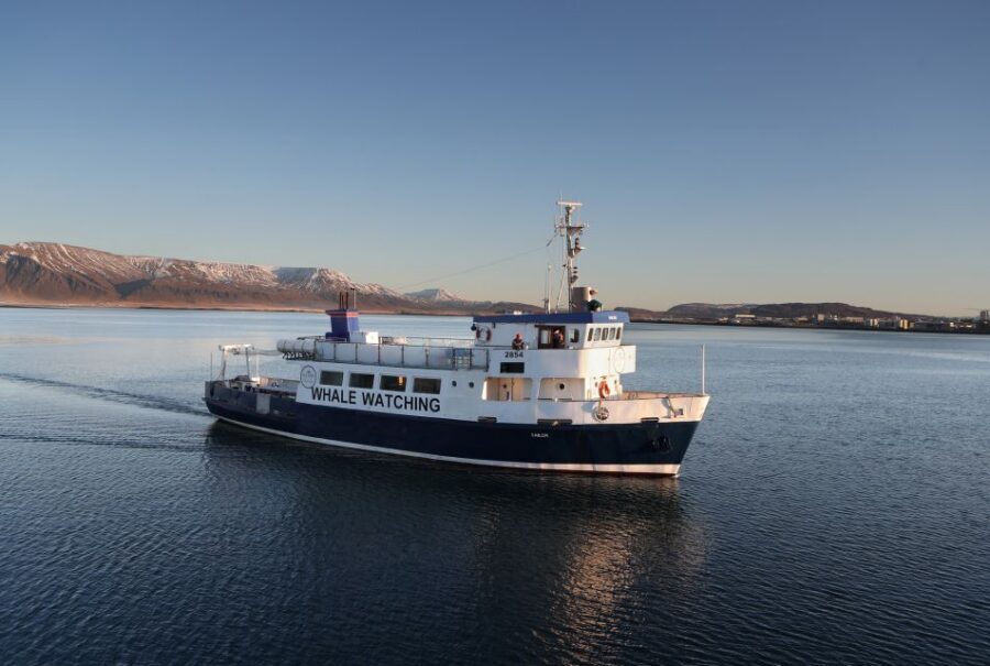 From Reykjavik: New Years Fireworks by Boat - Key Things I’d Plan Around